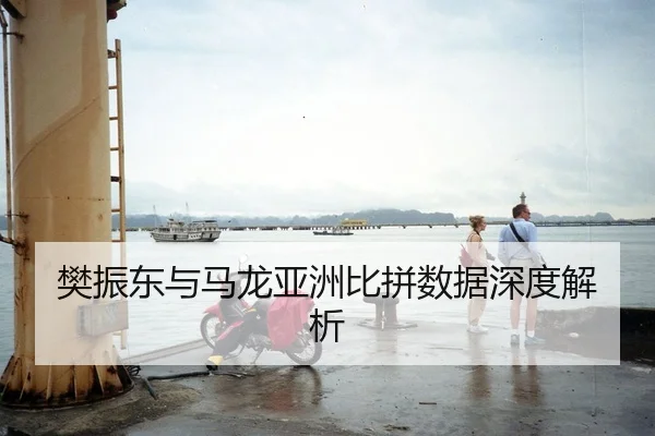 樊振东与马龙亚洲比拼数据深度解析